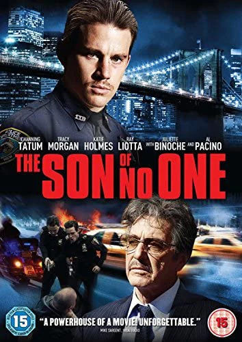 Phim Con Hoang - The Son of No One (2011)