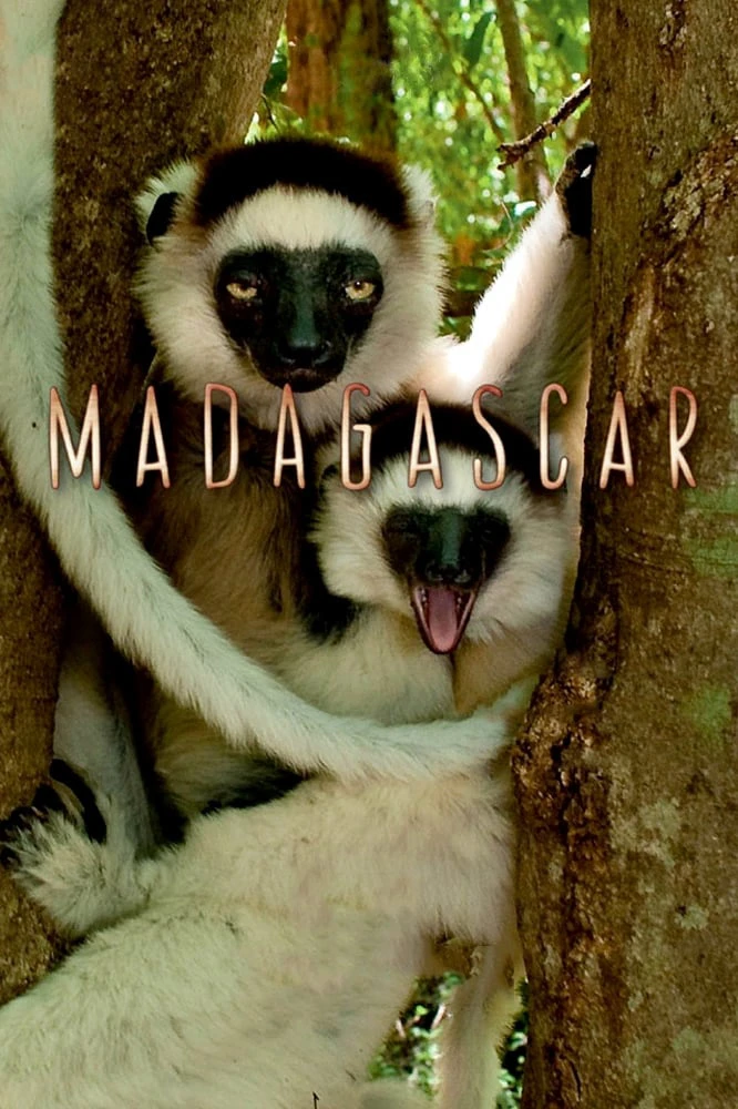 Phim Madagascar 2011 - Madagascar (2011)