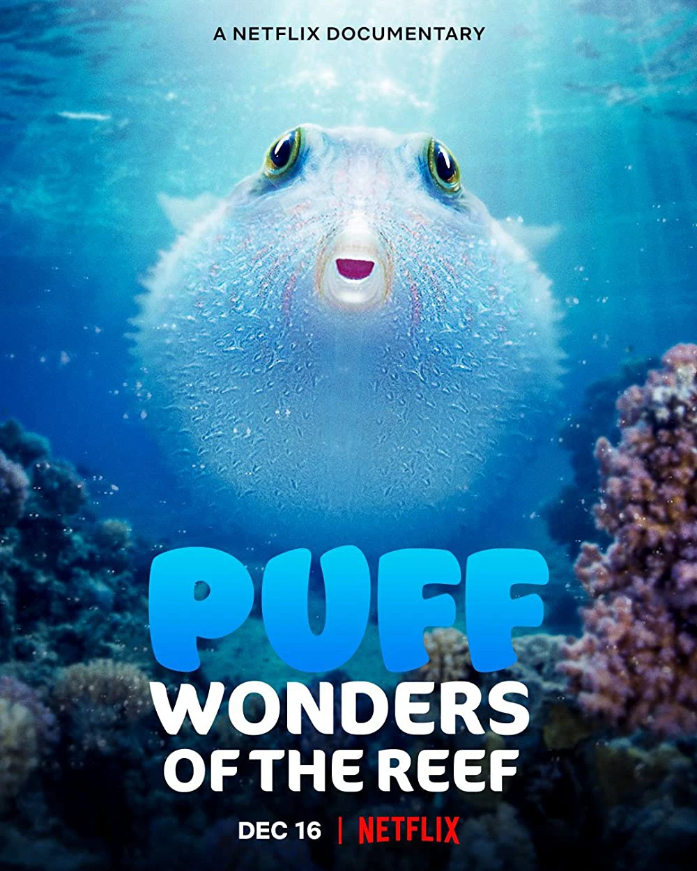 Phim Puff: Rạn san hô kỳ diệu - Puff: Wonders of the Reef (2021)