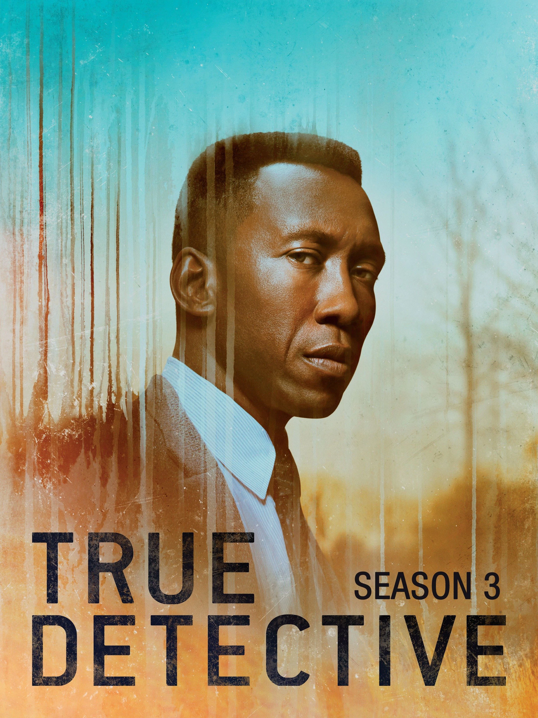 Phim Thám Tử Chân Chính (Phần 3) - True Detective (Season 3) (2019)