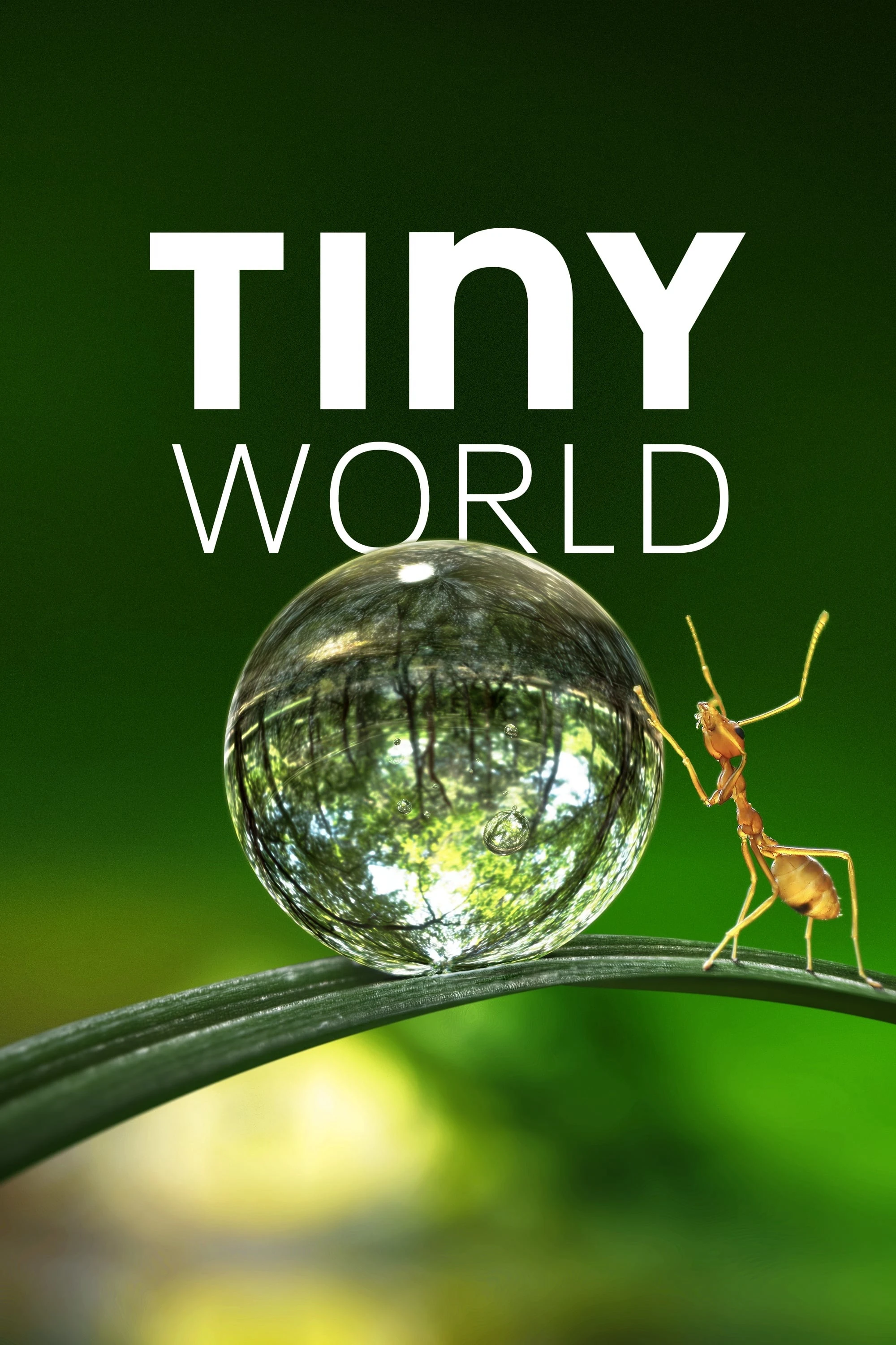 Phim Thế Giới Siêu Nhỏ (Phần 1) - Tiny World (Season 1) (2020)