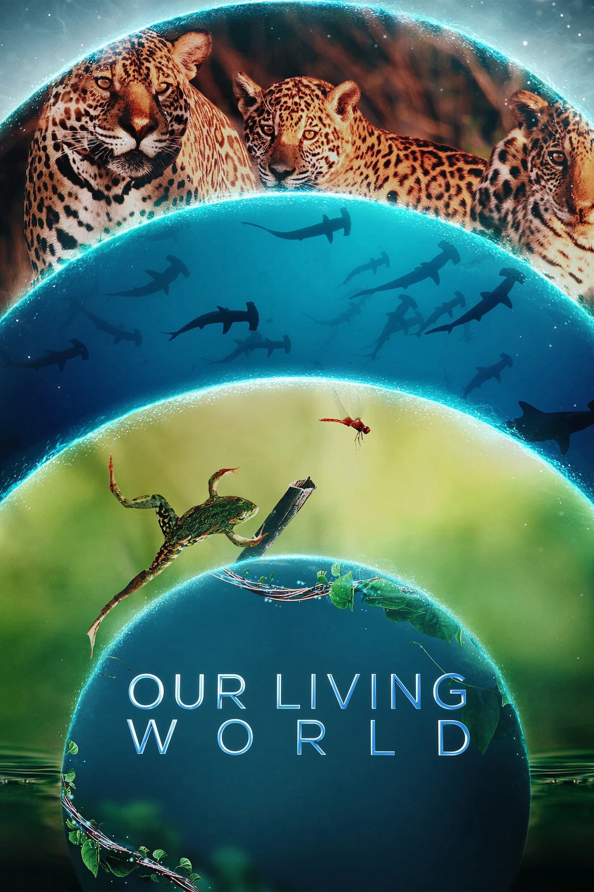 Phim Thế giới sống của chúng ta - Our Living World (2024)