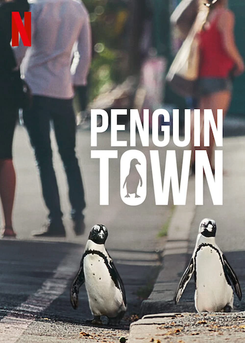 Phim Thị trấn cánh cụt - Penguin Town (2021)