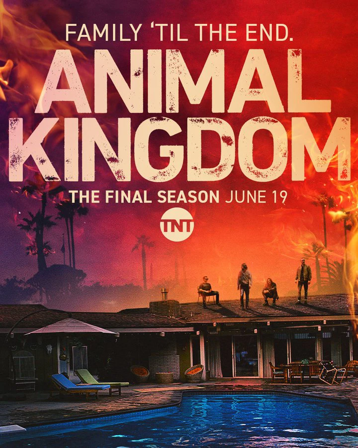 Phim Vương quốc động vật (Phần 6) - Animal Kingdom (Season 6) (2022)